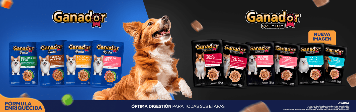Ganador