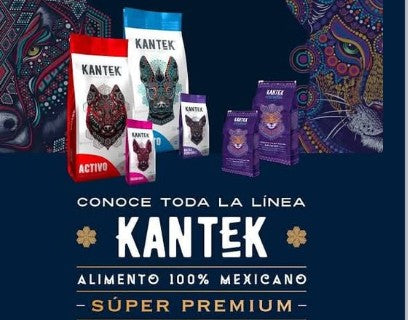 Kantex