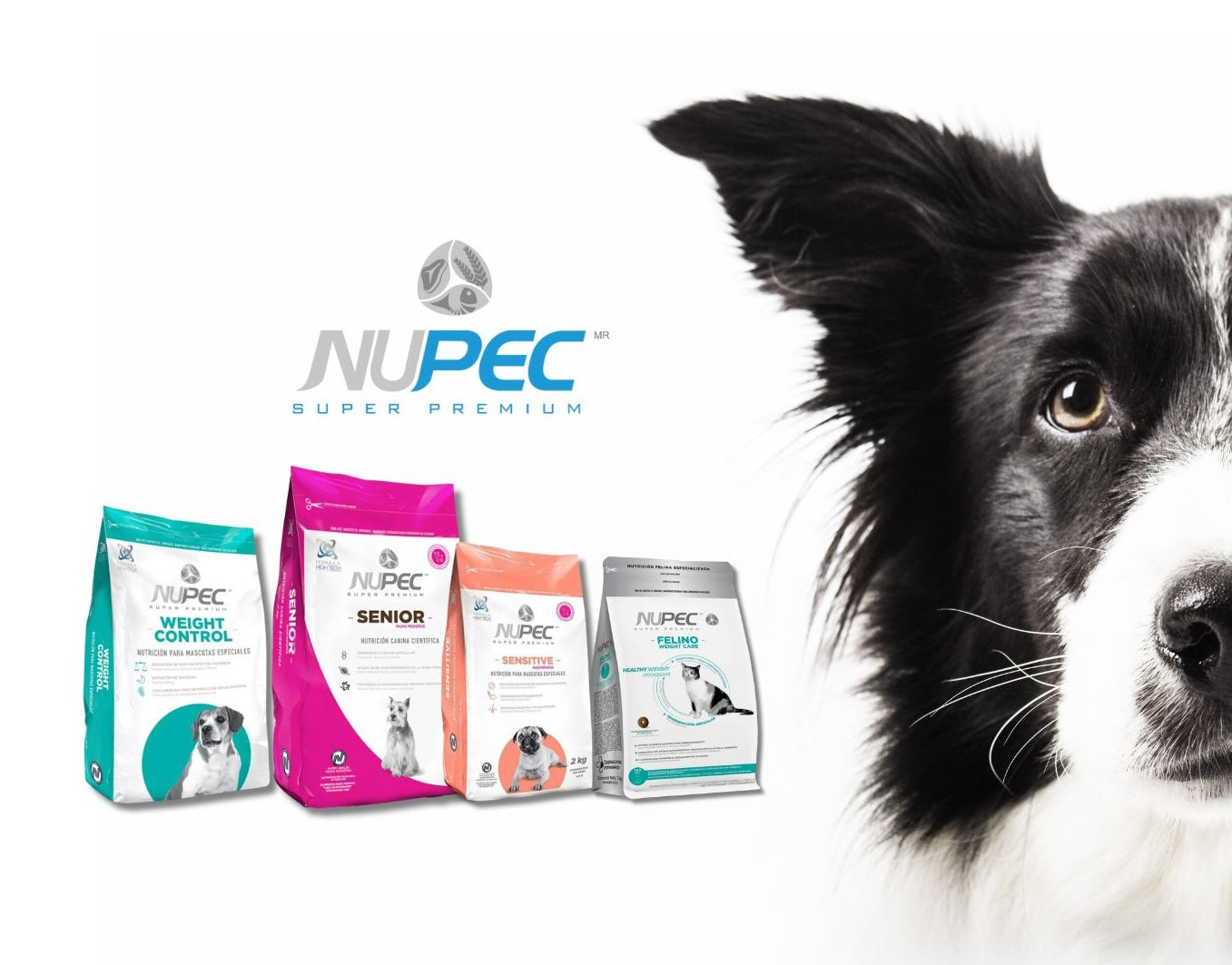Nupec