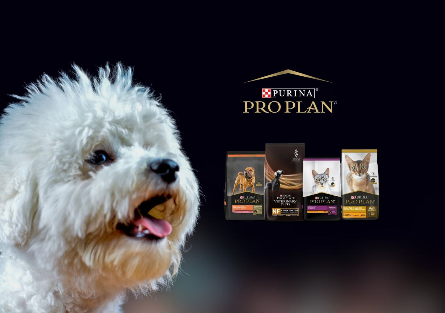 Pro Plan