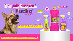 Pucho