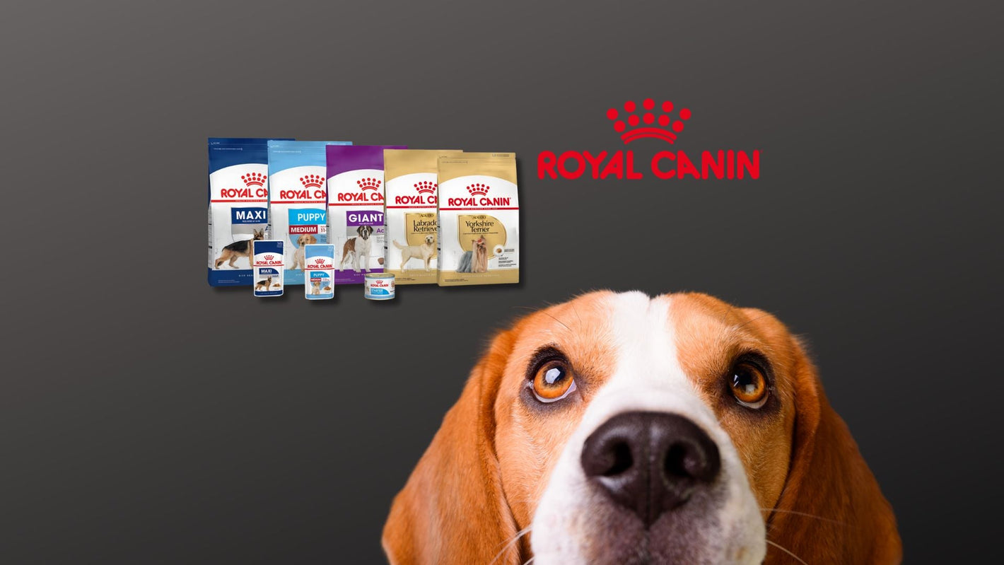 Royal Canin
