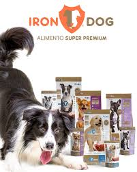 Iron Dog