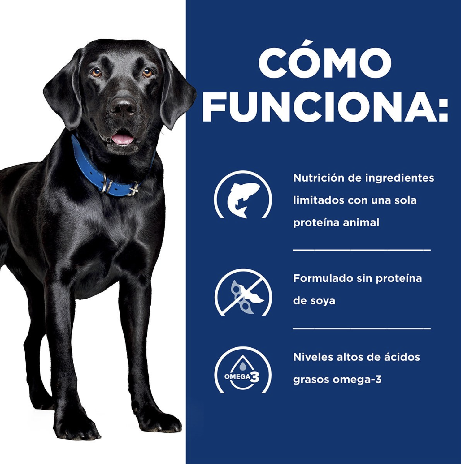 png_1500x1500_64906827