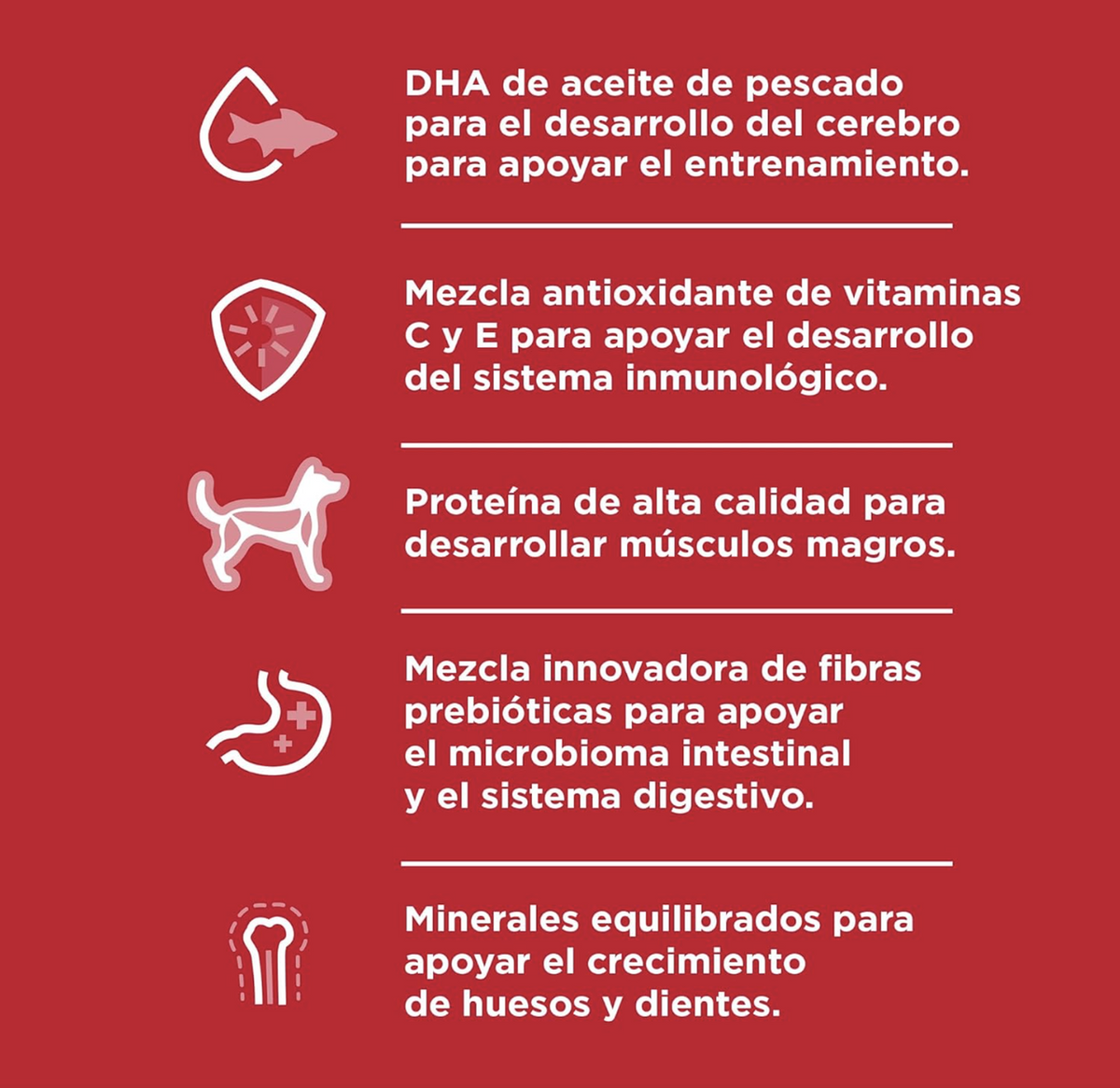 png_1500x1500_64845339