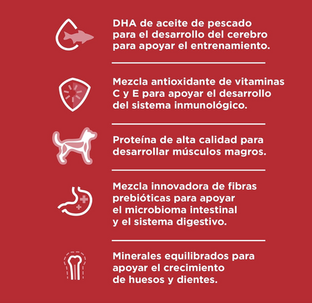 png_1500x1500_64845339