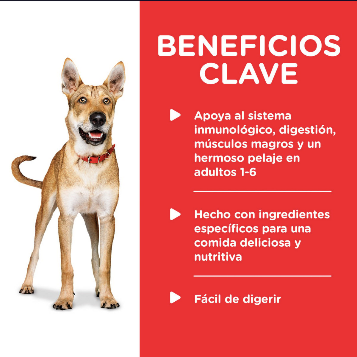 png_1500x1500_64845389