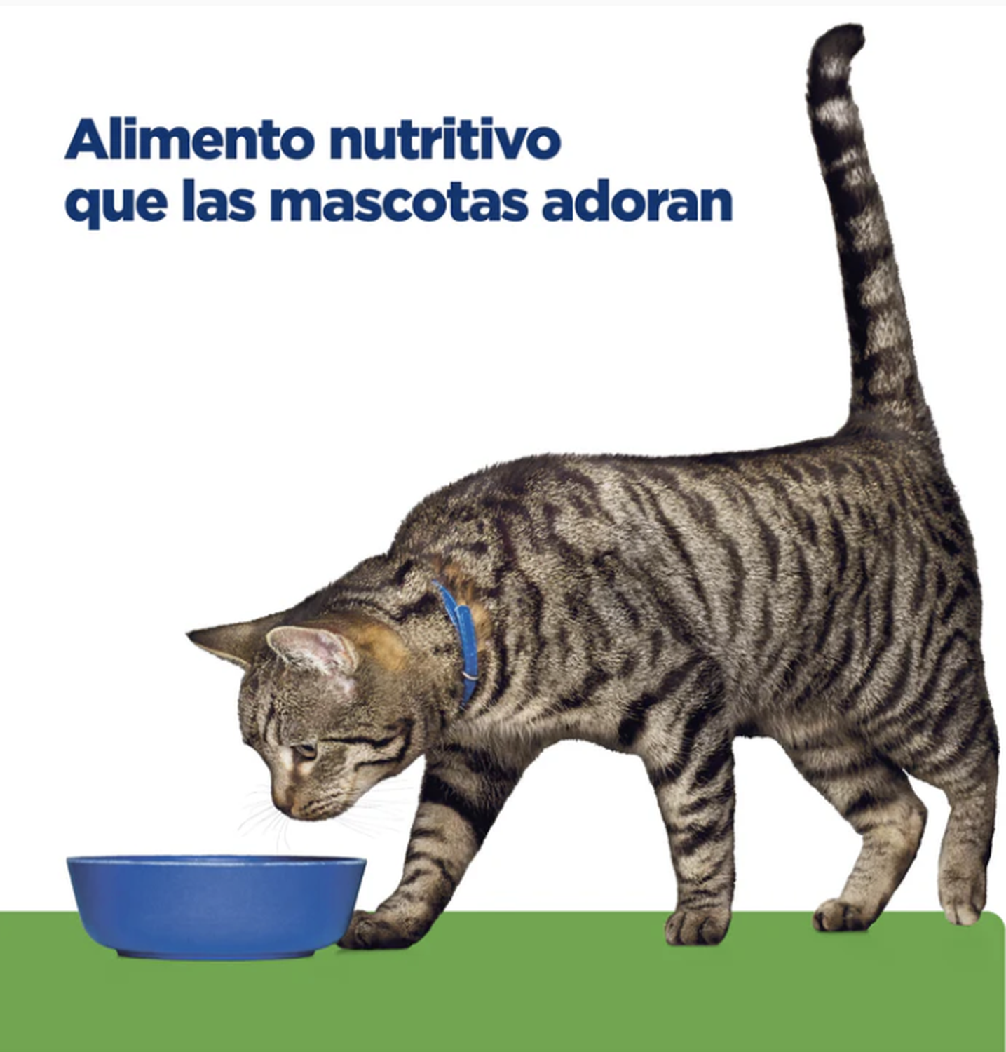 png_1500x1500_64906471