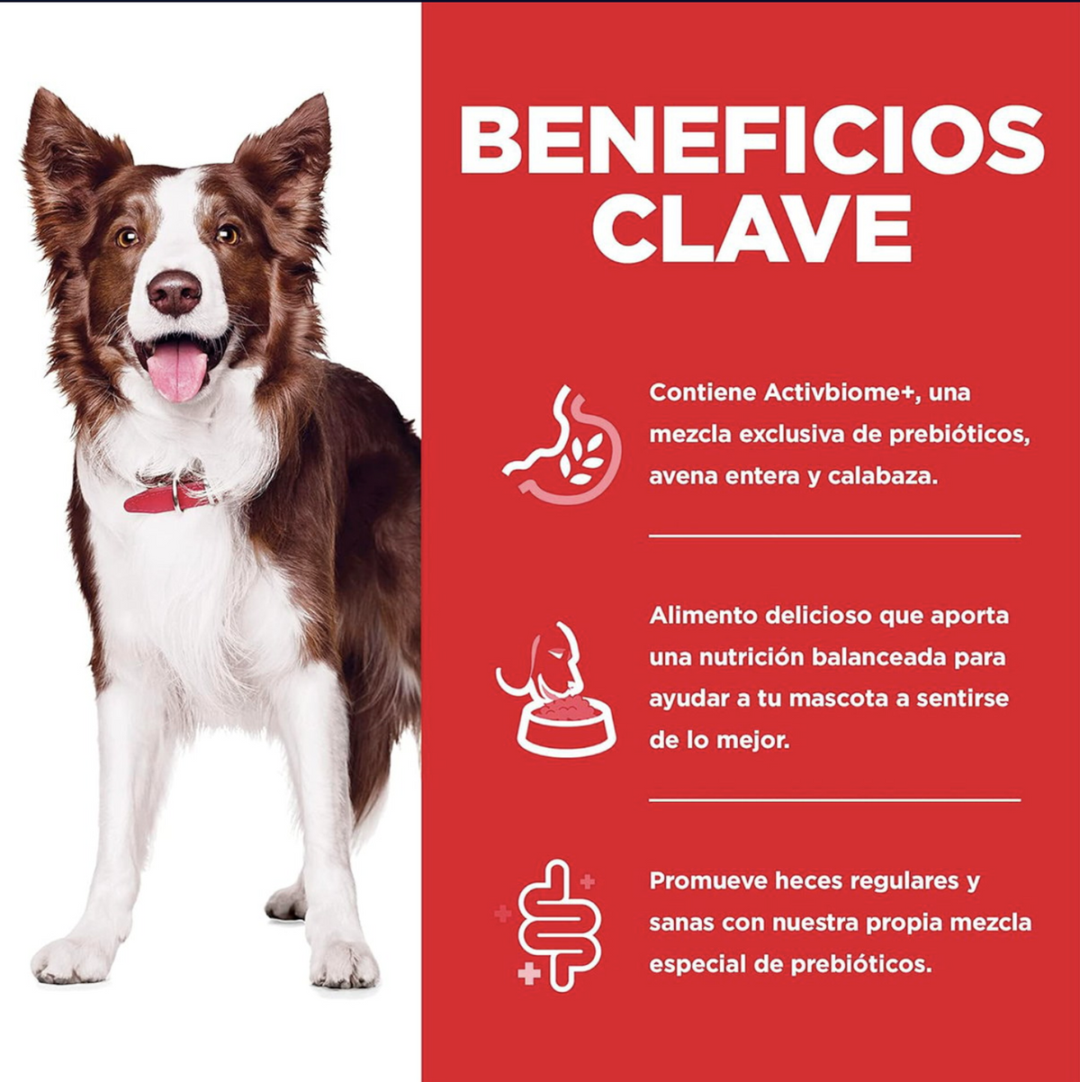 png_1500x1500_64845334