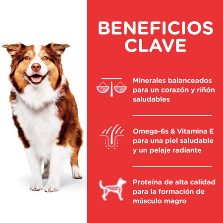 png_1500x1500_64845451