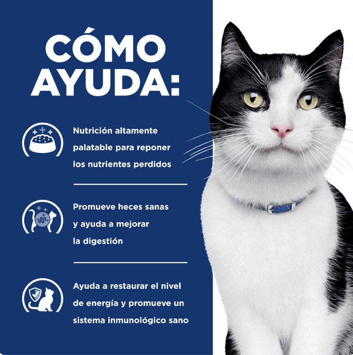 png_1500x1500_64879224