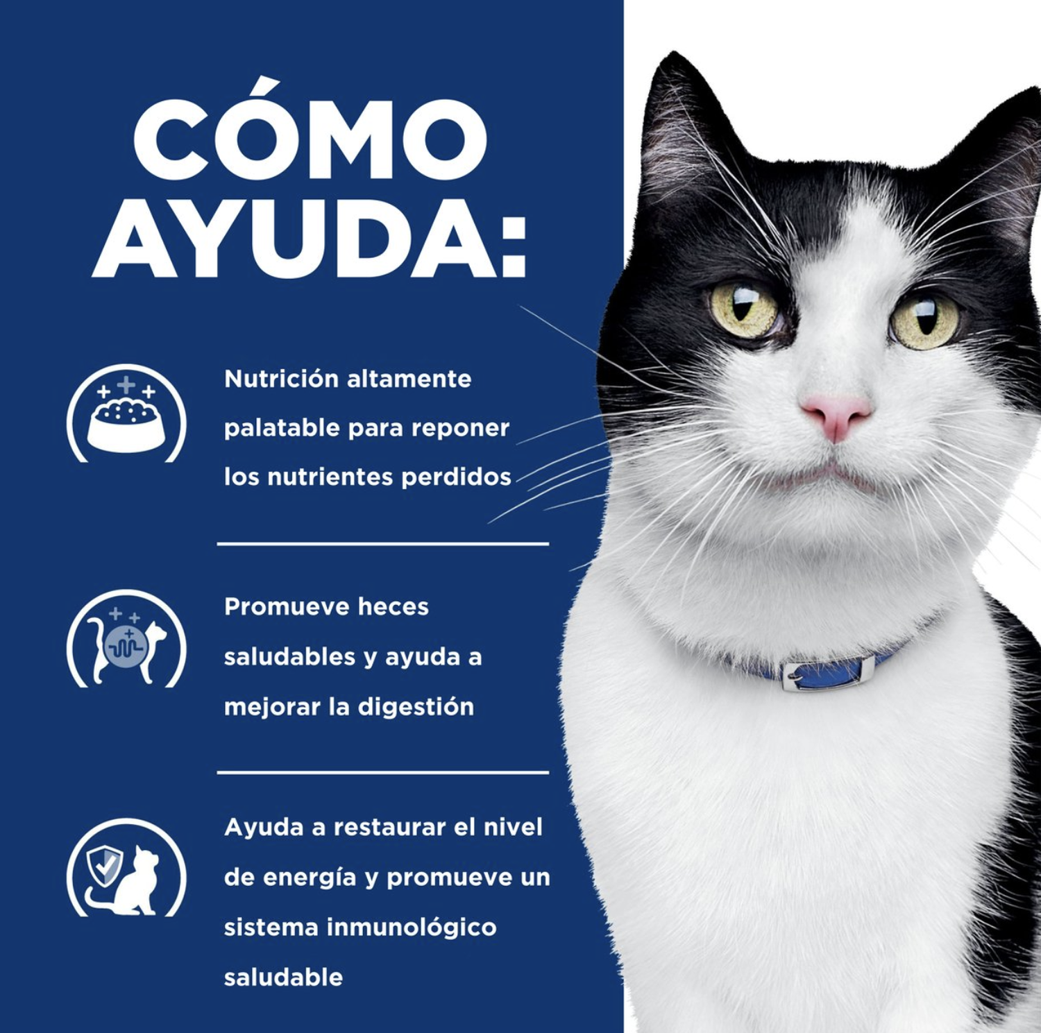 png_1500x1500_64879857