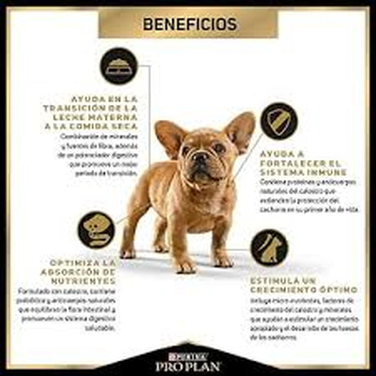 jpeg_1500x1500_64561846