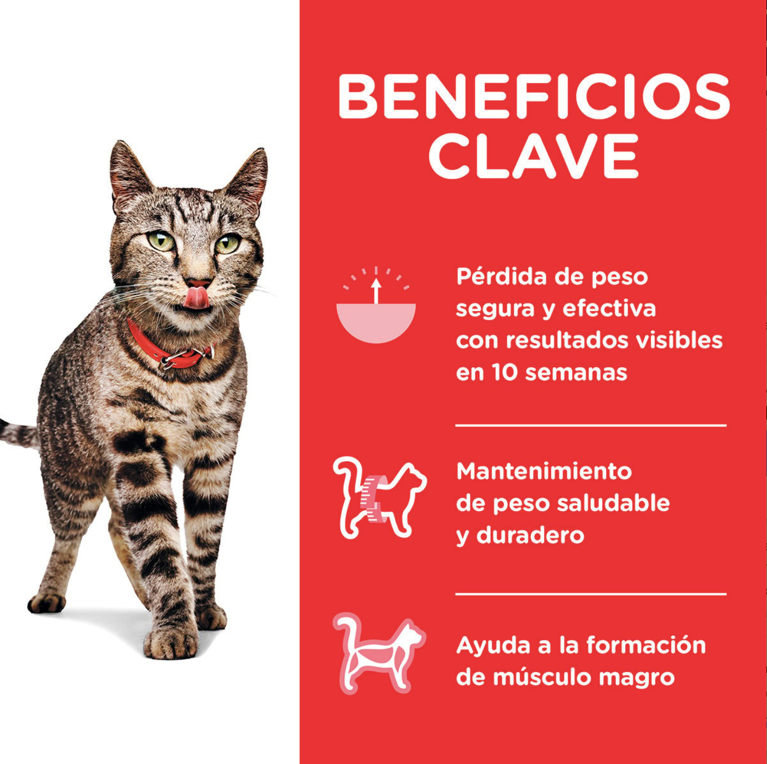 png_1500x1500_64845169