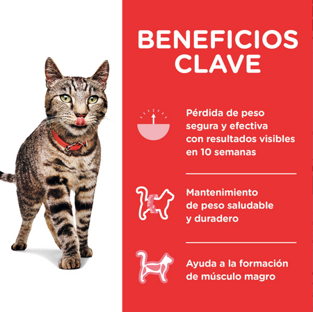 png_1500x1500_64845169