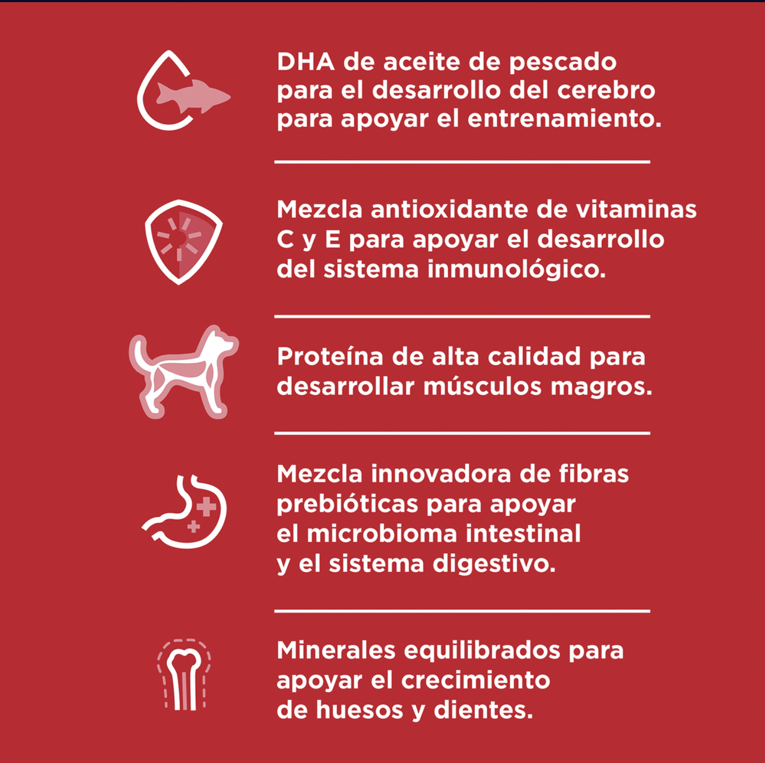 png_1500x1500_64845174