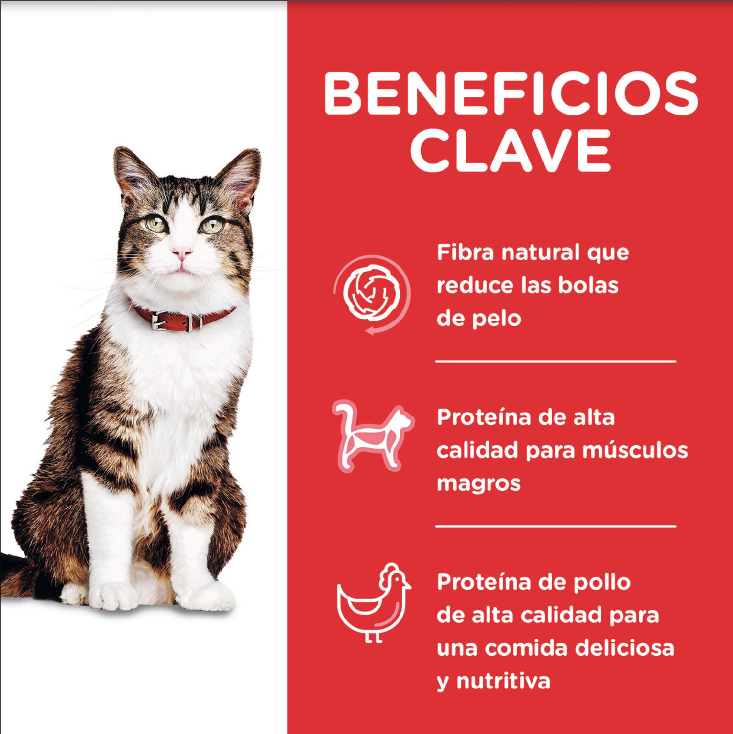 png_1500x1500_64845123