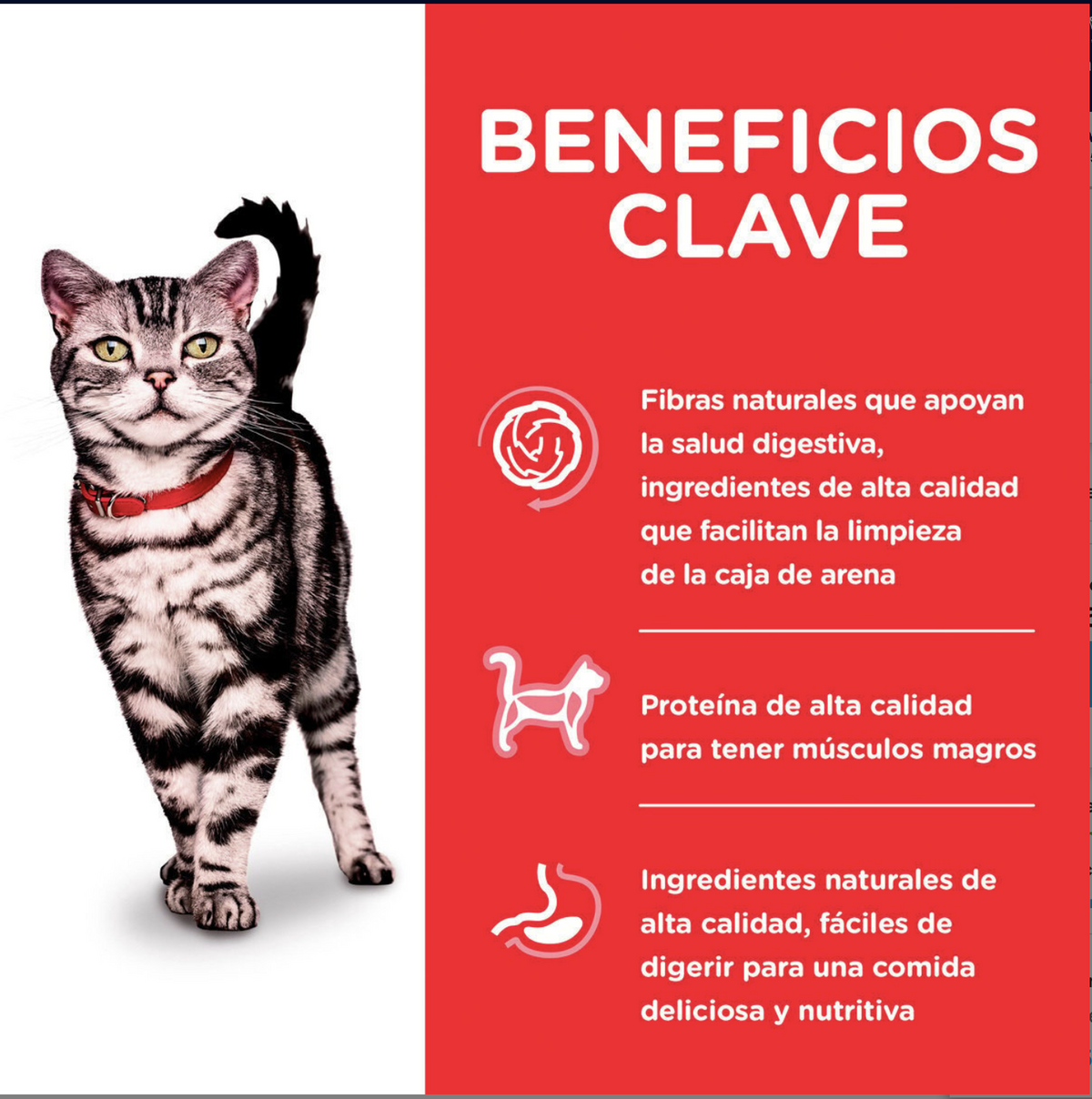 png_1500x1500_64845162