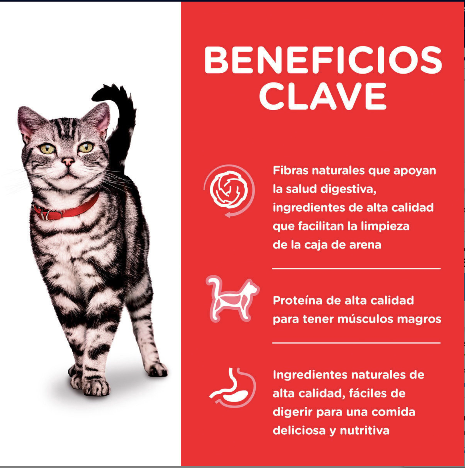 png_1500x1500_64845162