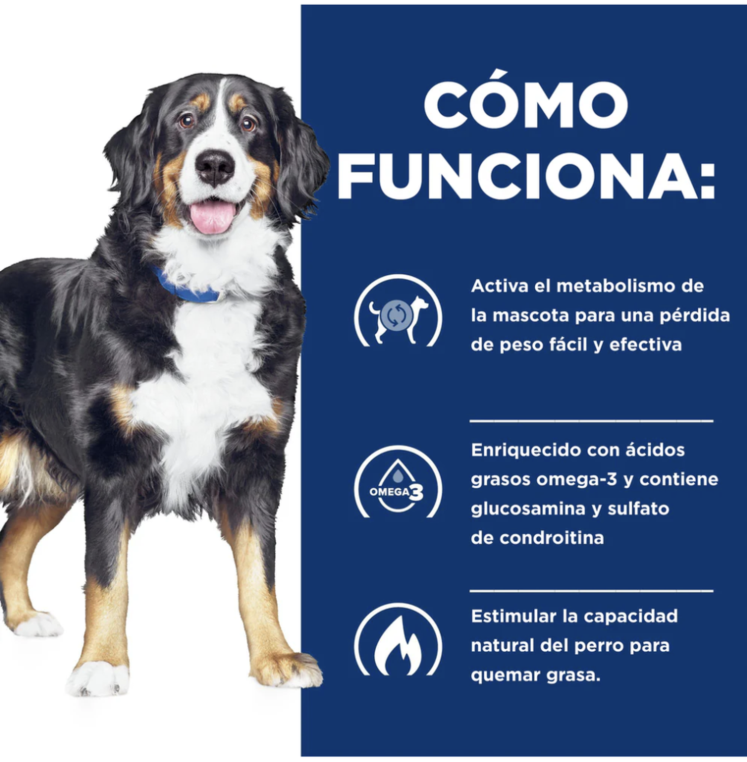 png_1500x1500_64906853