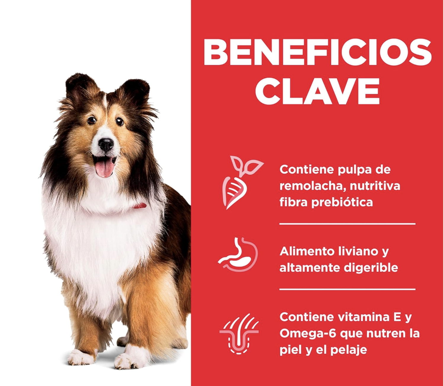 png_1500x1500_64878956