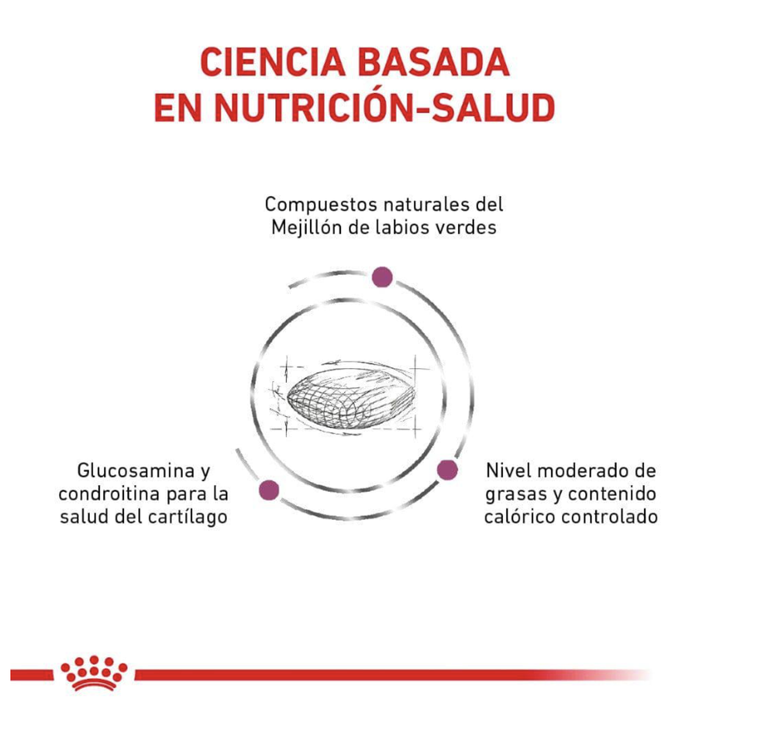 png_1500x1500_64739843