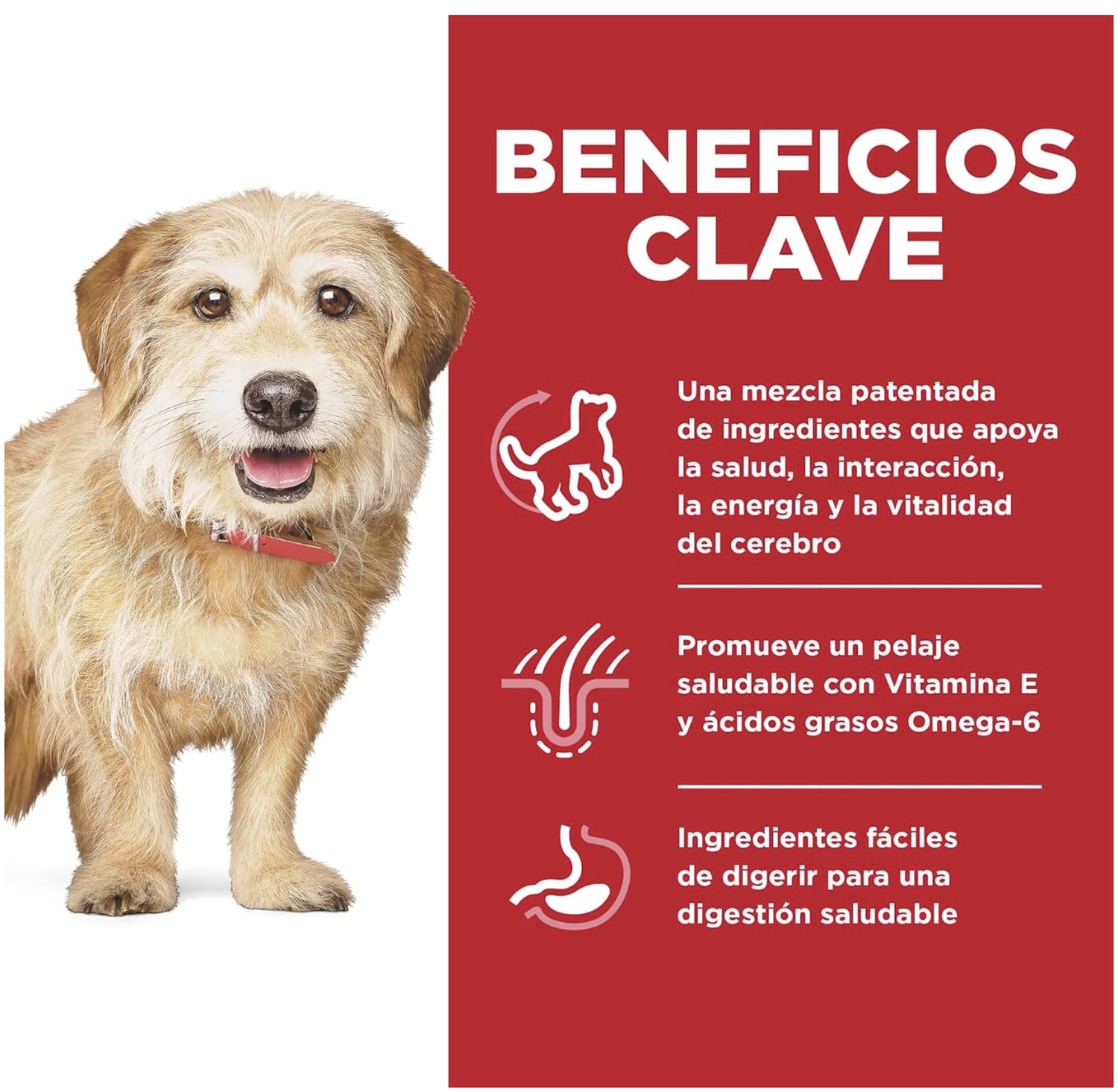 png_1500x1500_64845356