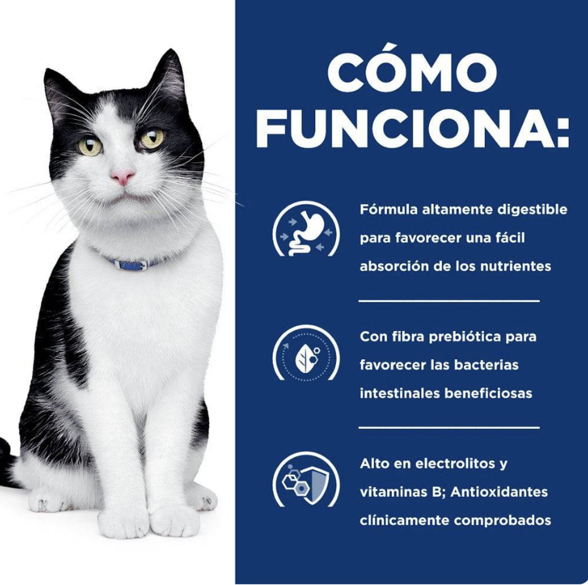 png_1500x1500_64879232