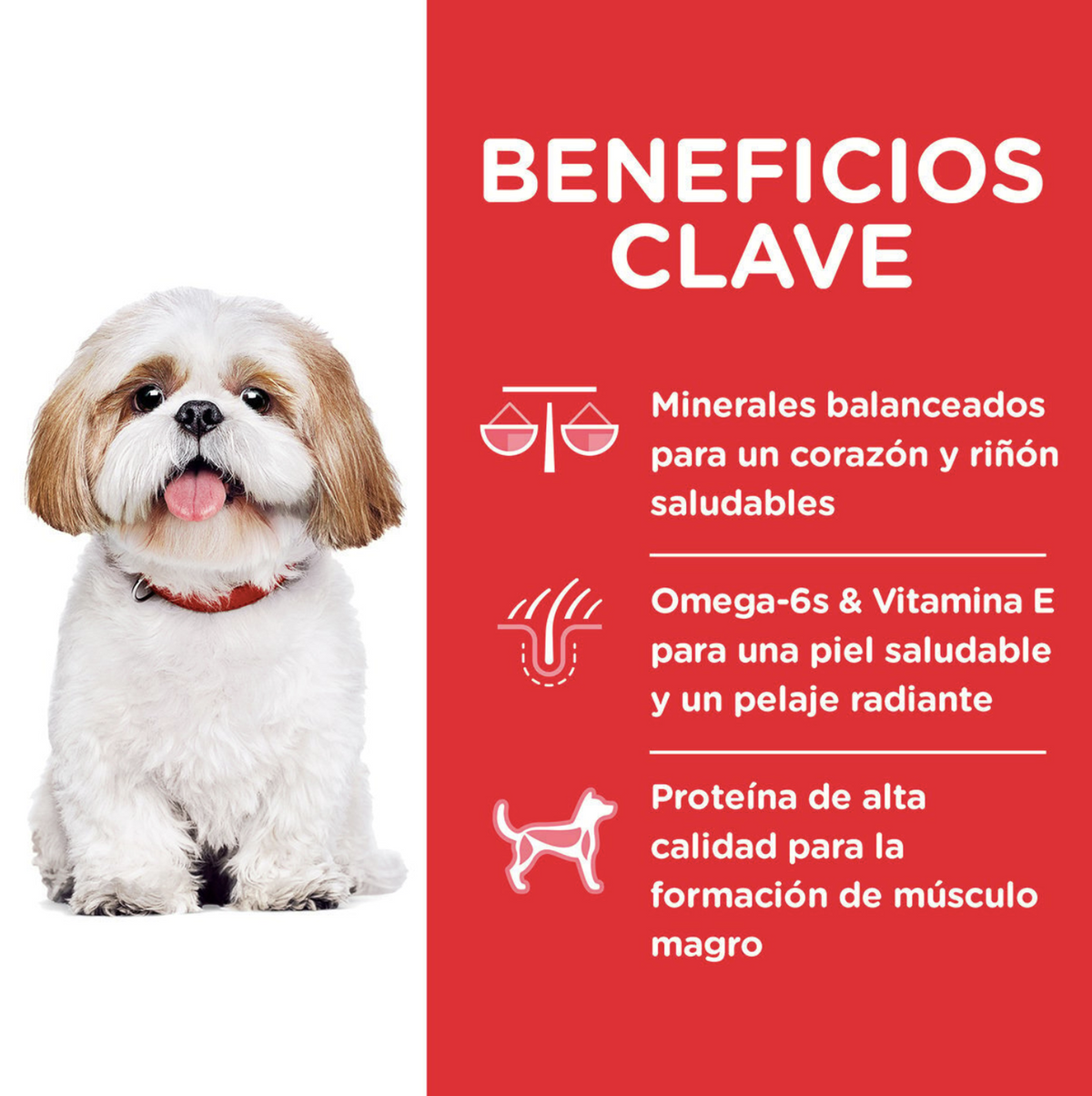 png_1500x1500_64849771