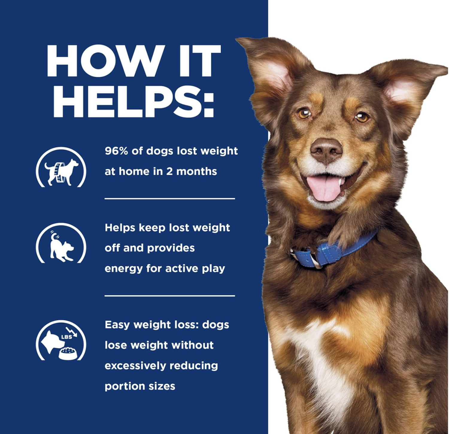 png_1500x1500_64906824