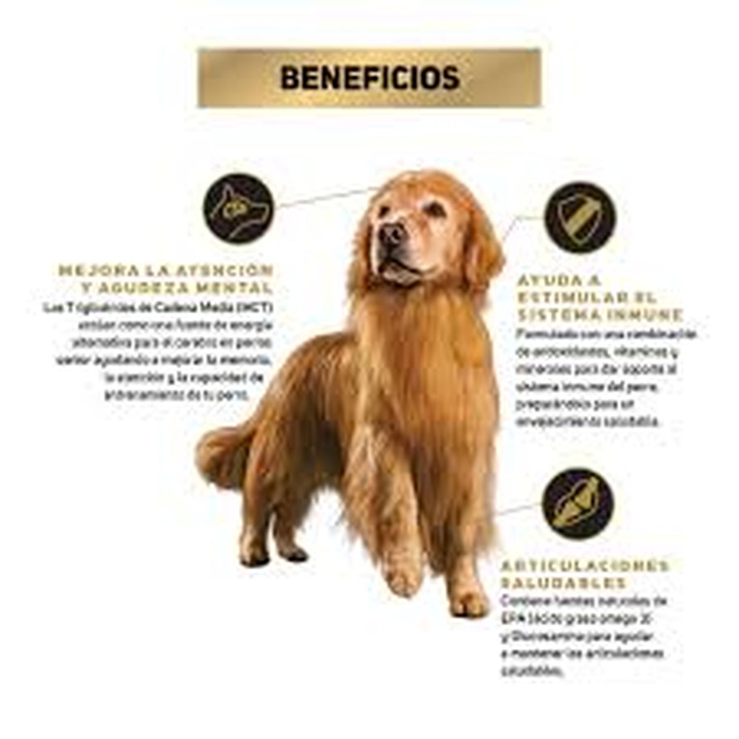 jpeg_1500x1500_64561729