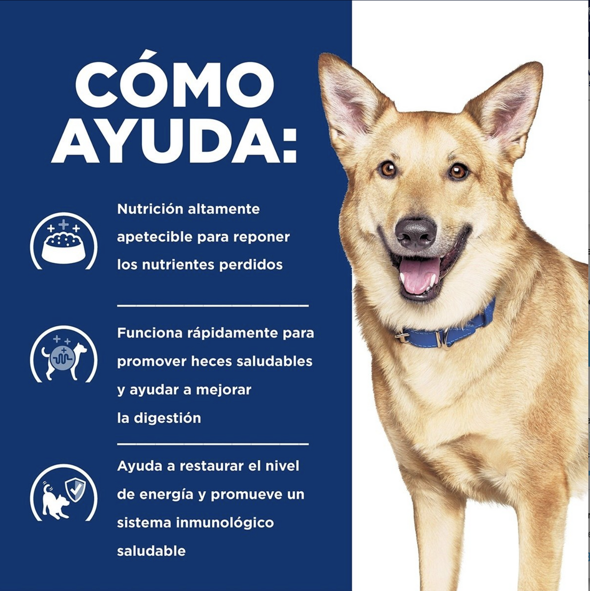 png_1500x1500_64906403