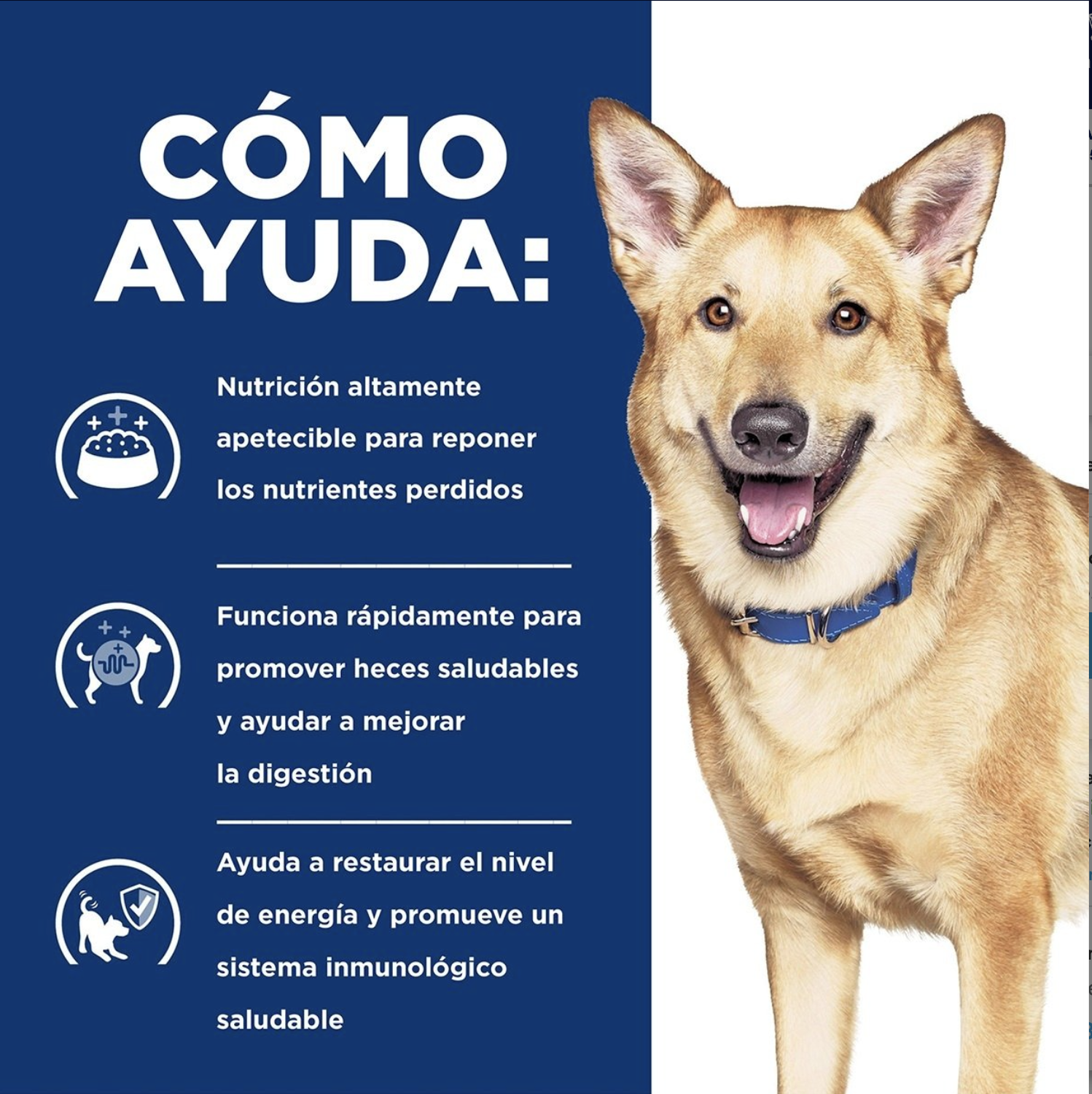 png_1500x1500_64906403