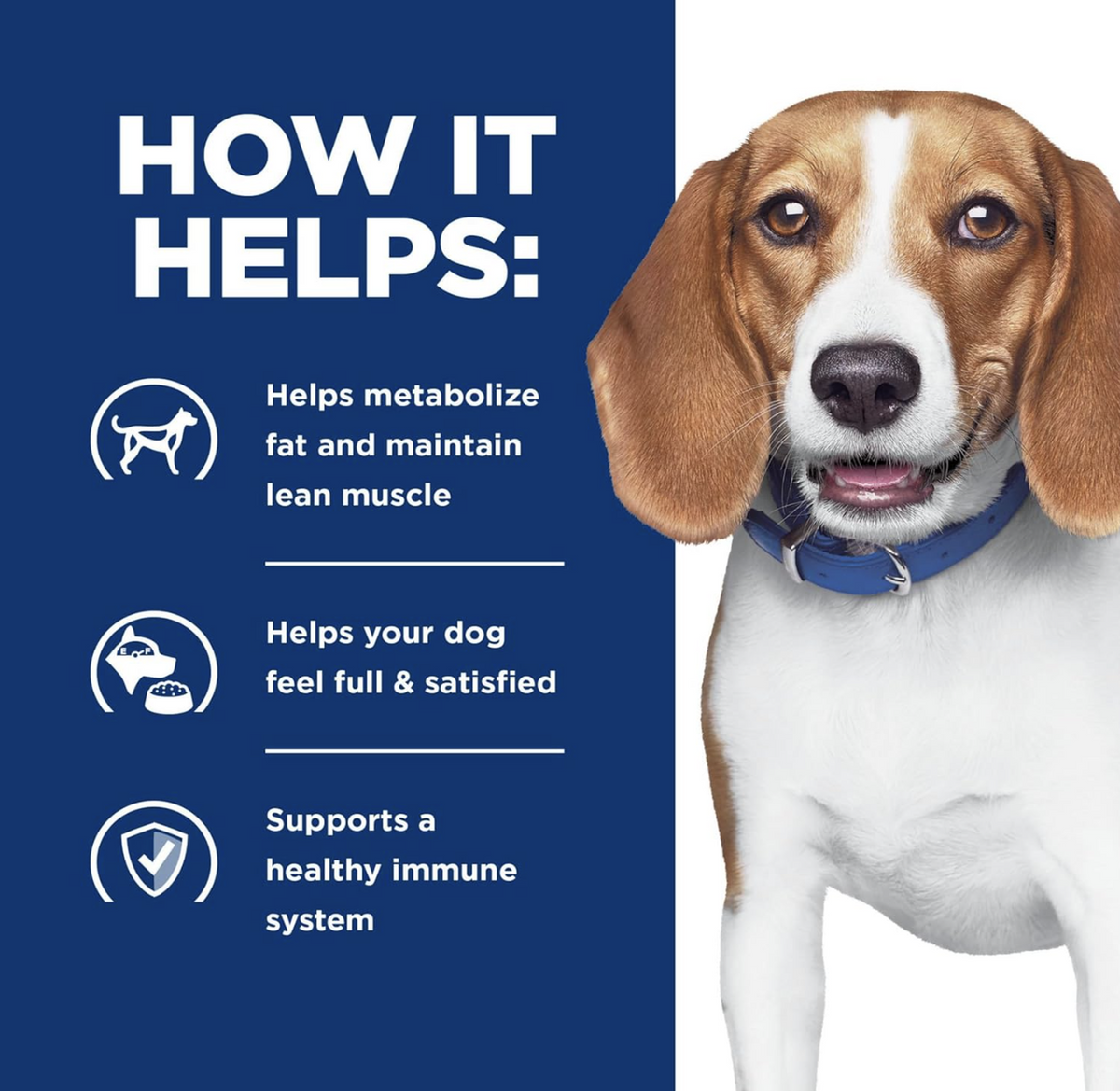 png_1500x1500_64906785