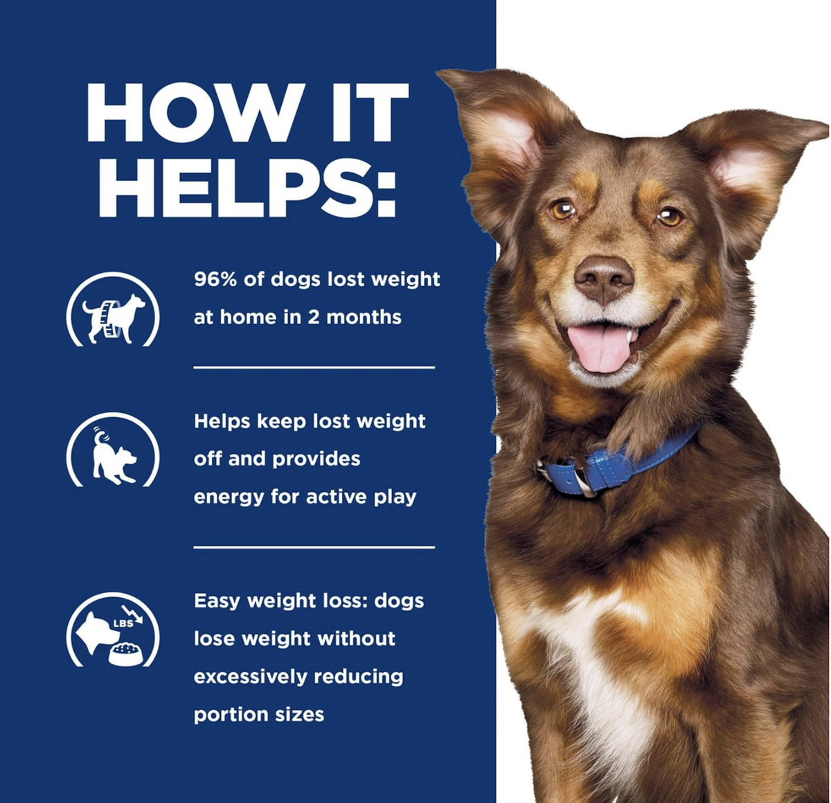 png_1500x1500_64861714