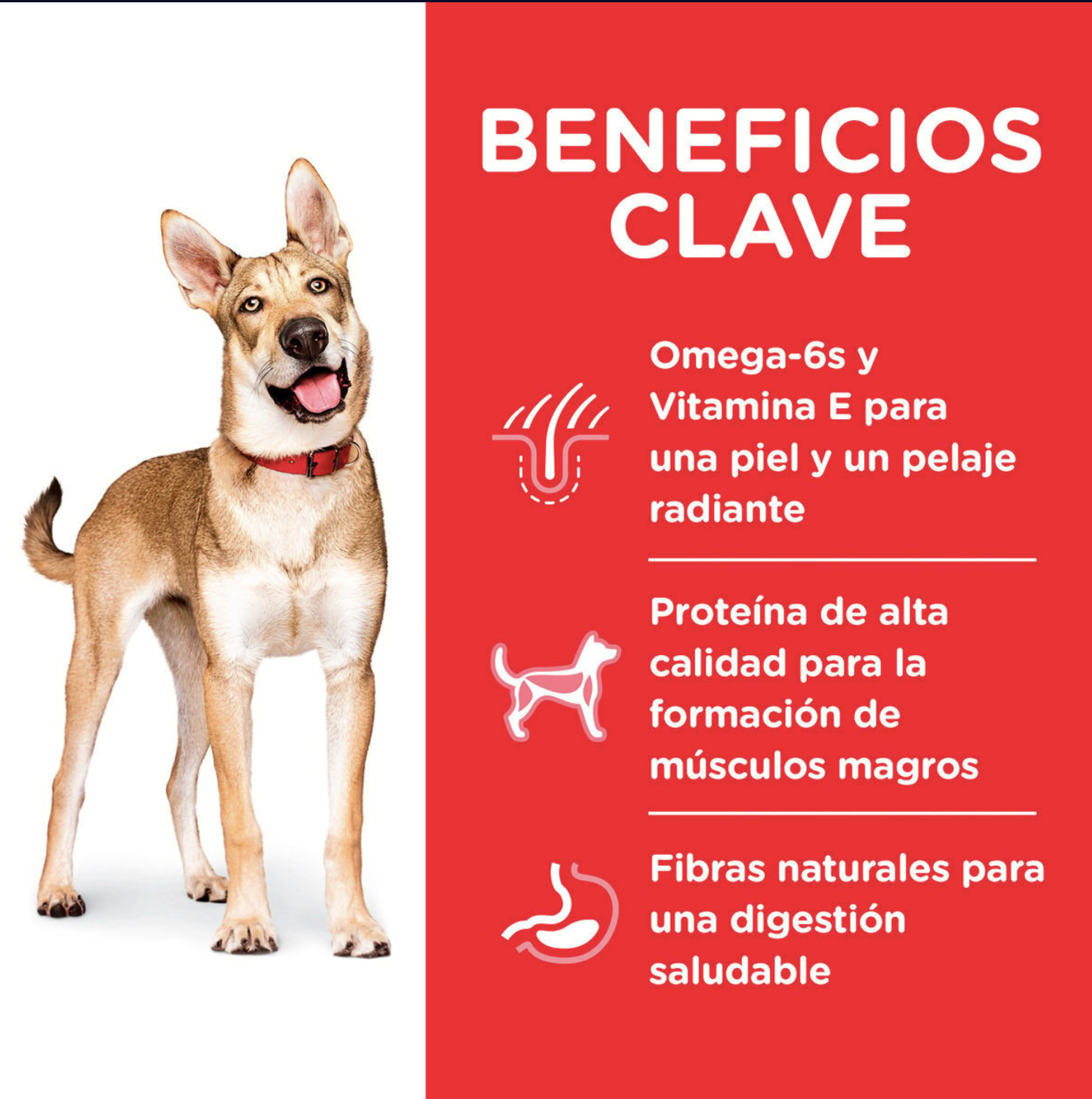 png_1500x1500_64851302