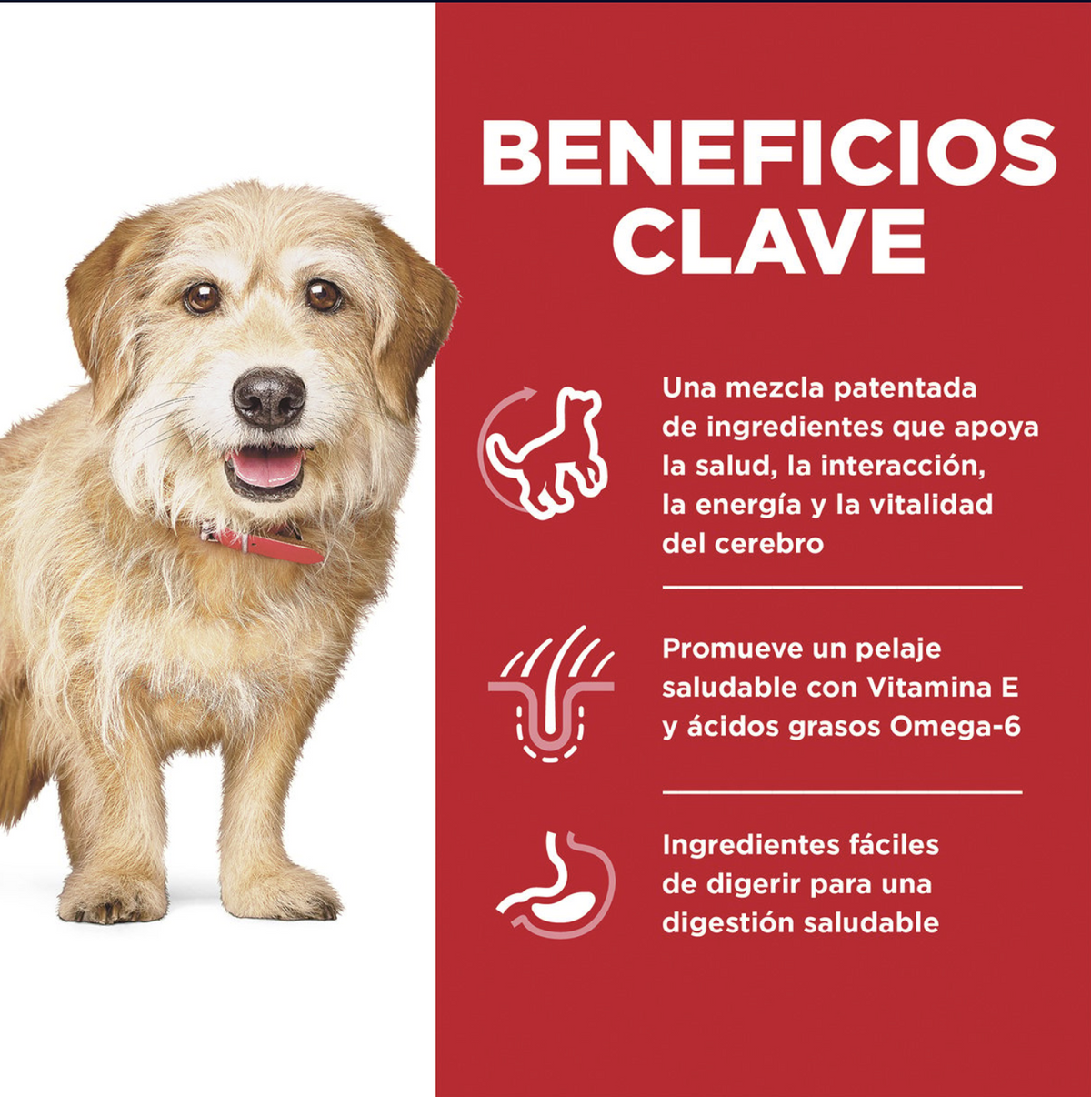 png_1500x1500_64906435